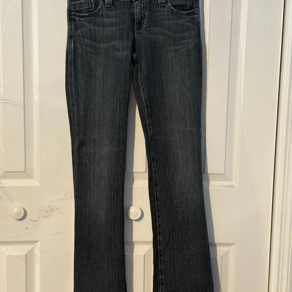 GAP Straight Ultra Low Rise Jeans Size 2
